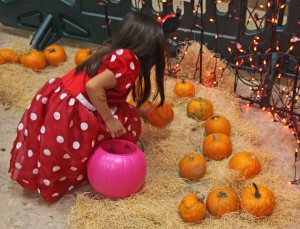 A child picks a pumpkin at a fall festival.