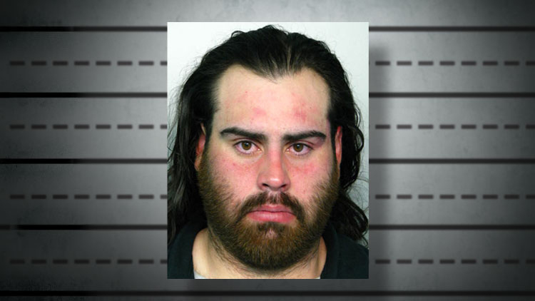 Massapequa Man Slashed Victim in Face, Cops Say Dominick Alborez