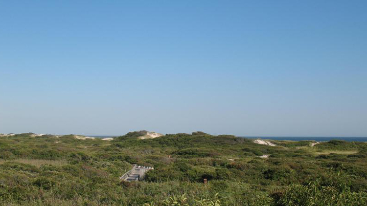A nature trail winds through Watch Hill on Fire Island.