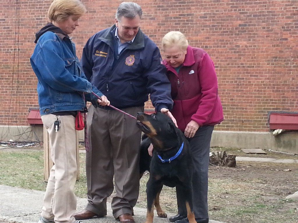 Bruno last Sandy dog