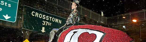 Ringling Bros. Elephants