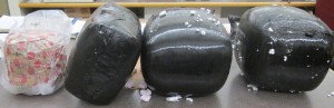 Glen Cove city police released this image of the marijuana.