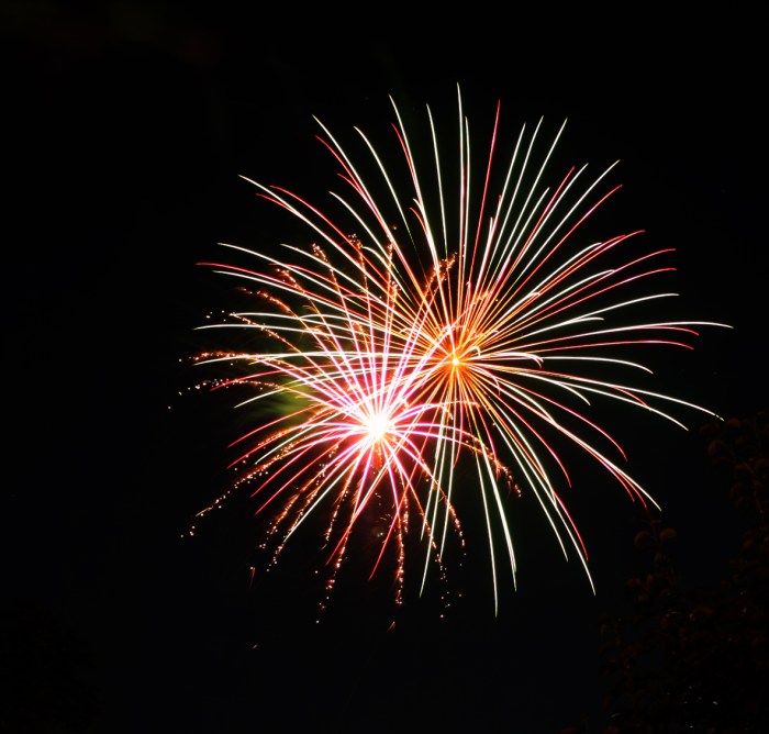 Fireworks Normal Photo 2