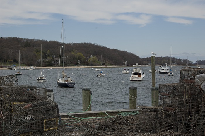 northport harbor