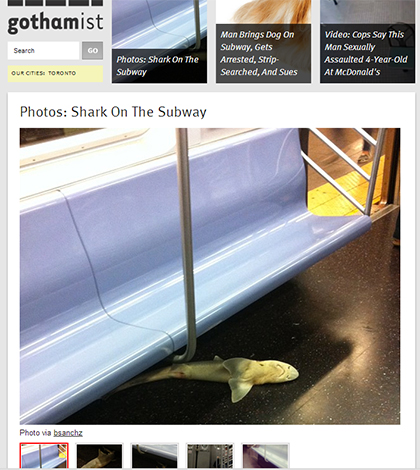 NYC Subway Shark