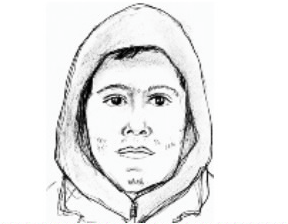 Sketch of the suspect police believed accosted a woman in Bethpage Nov. 4. 