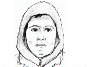 Bethpage LIRR suspect