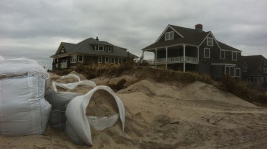 Fire Island Dune