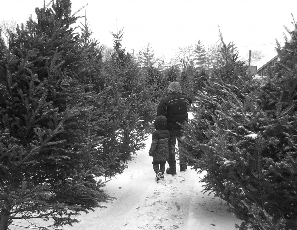 Oceanside – Looking for a tree on a snowy afternoon – BW Version – 121413 – Joe Abate