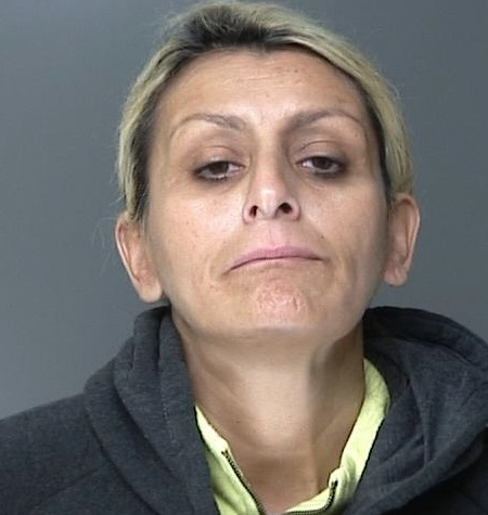 Lisa Ferkovich allegedly scammed a man for $500,000, authorities said. 