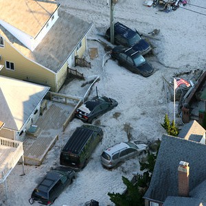 Suffolk_County_Men_Party_With_Deer