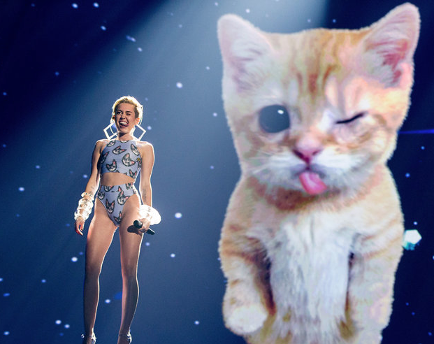 YouTube 'Miley Cat'