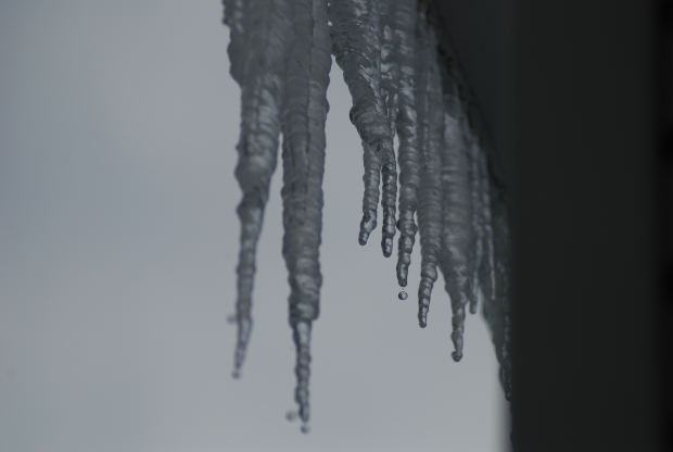 icicles