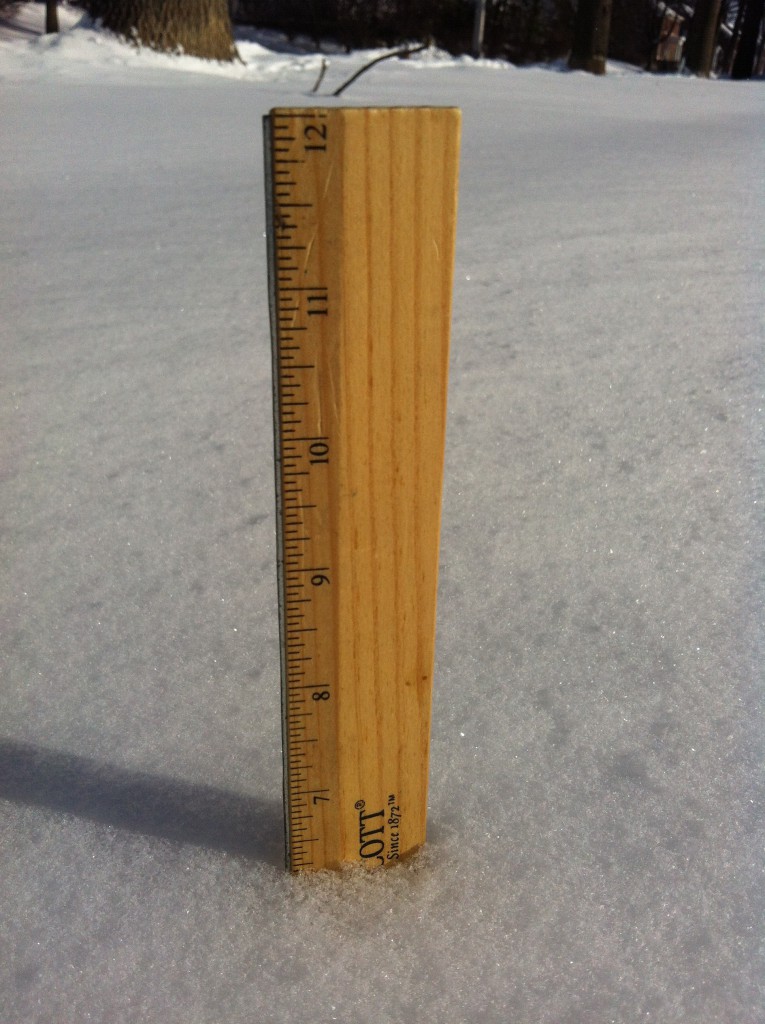 snow ruler