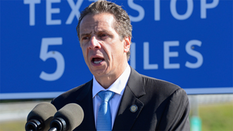 New York Gov. Andrew Cuomo has failed to push his Democratic primary challenger Zephyr Teachout off the ballot. 