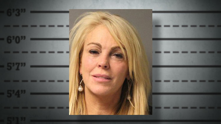 dina lohan