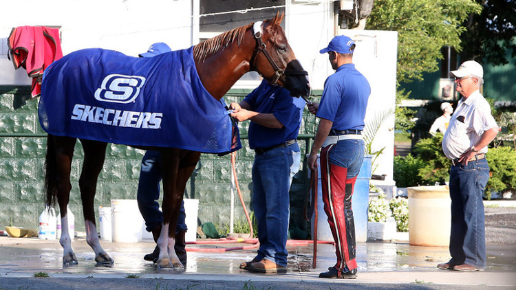 California Chrome Triple Crown