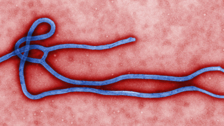 Ebola Virus