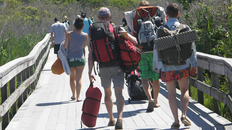 Backpackers walk off into the Fire Island wilderness to camp.