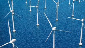wind farm