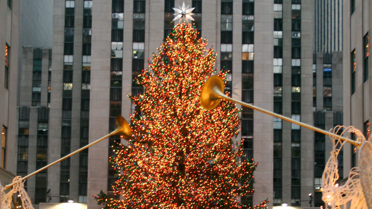 Long Island Christmas Tree Lighting Celebration