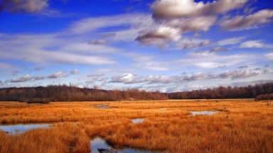 NY Auto Giant Poconos