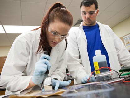 GradProgramSpaceholder