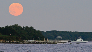 Shelter Island