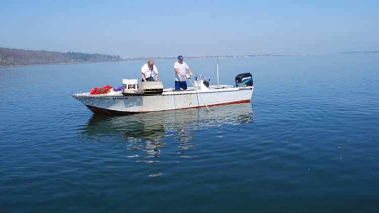 Long Island Sound