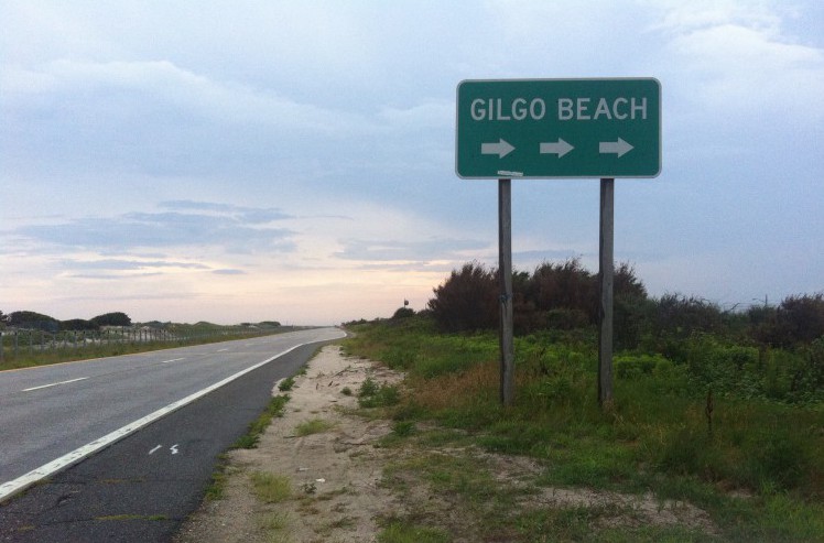 Gilgo Beach