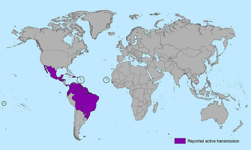 Zika Virus Map (Courtesy: CDC)