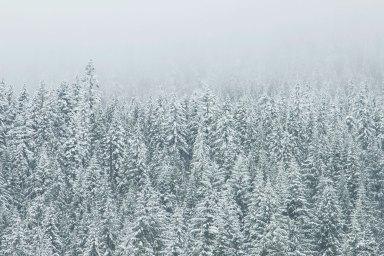 Long Island snow forecast