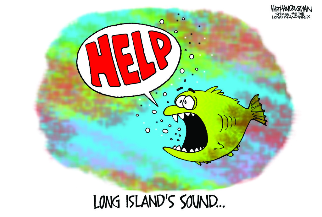 Walt Handelsman cartoon Long Island Sound for Dick Amper piece May 2016