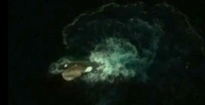 Google Earth Sea Monster