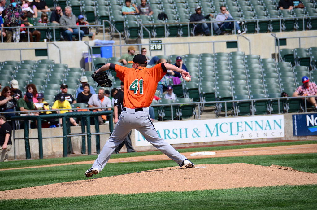 LONG ISLAND DUCKS
