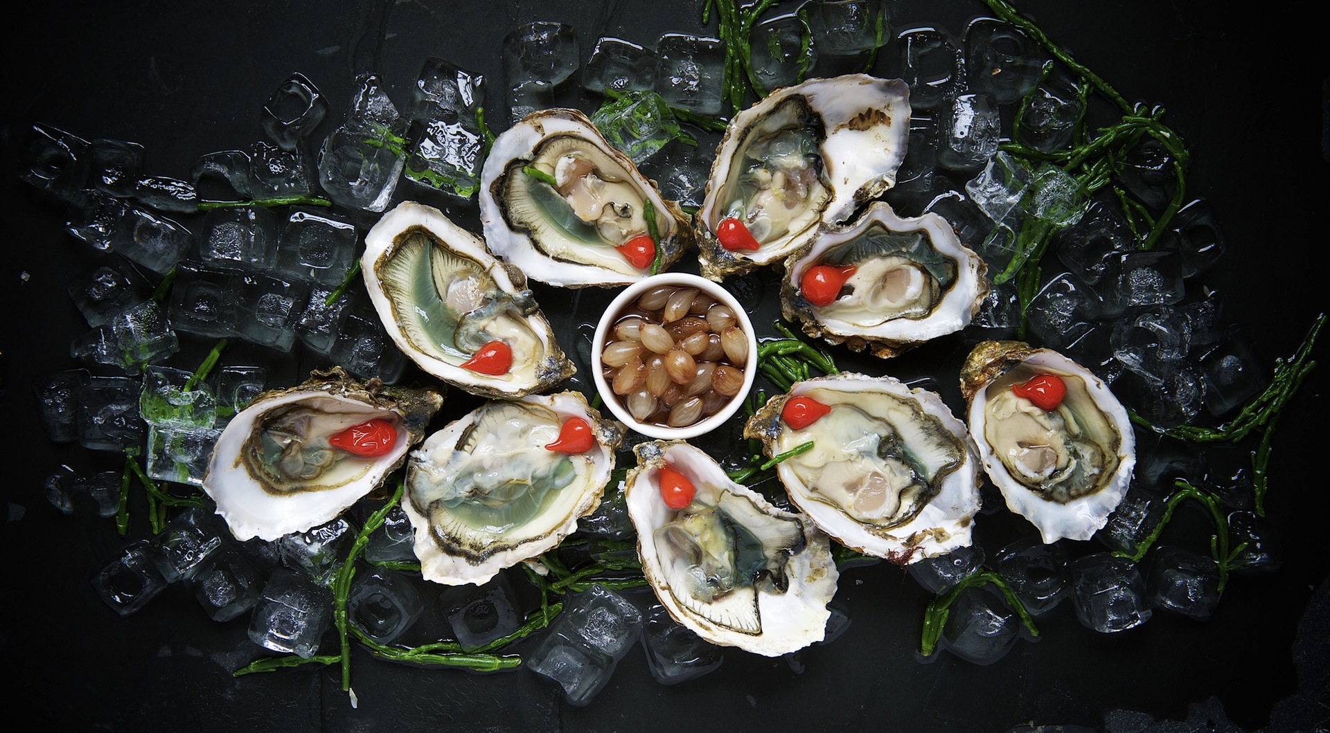 Oysterfest Oyster Bay