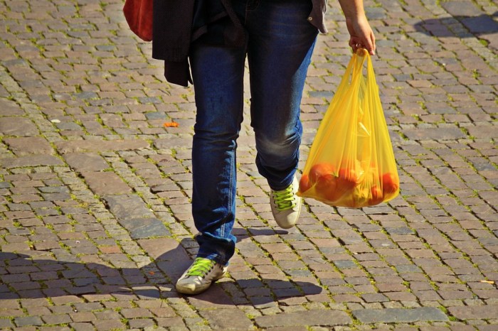 shopping bag