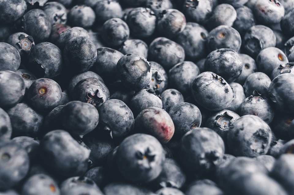 Agriculture Blueberries Berries Close up Bilberry 1846438