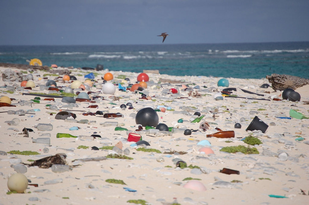litter