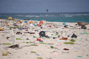 litter