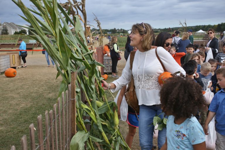 Photo Essay Harvest Season on Long Island