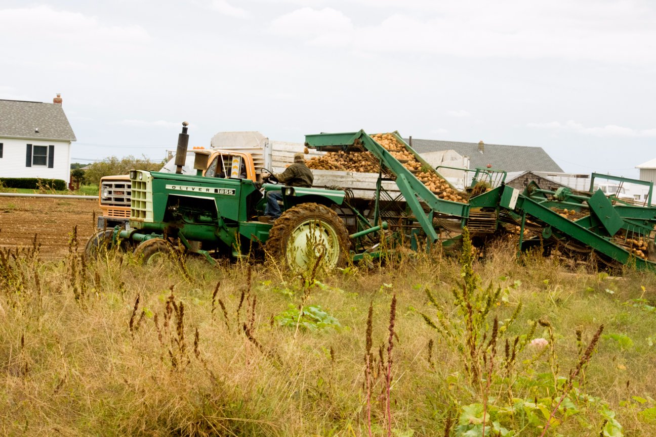 Photo Essay Harvest Season on Long Island