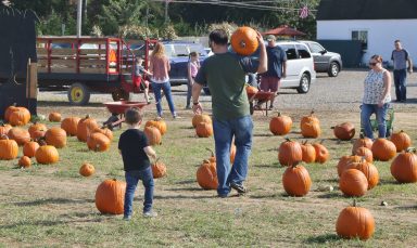 pumpkin picking on long island