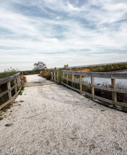 norman j by @lauren.carbone