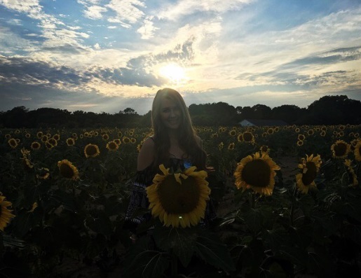 sunflower fields by@juliavisaggio