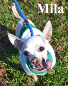 mila