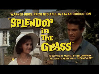 splendor in the grass trailer title still small