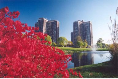 Towers & Red Tree (Large)