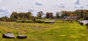 Heritage Farm Garden Fall