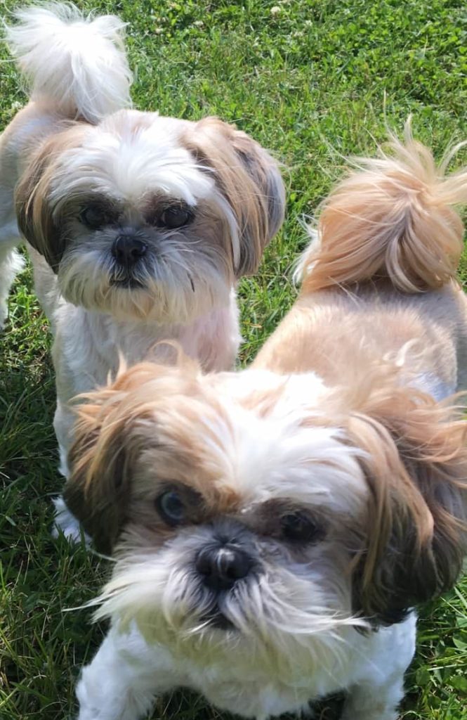 mikey and maggie e1528399292687